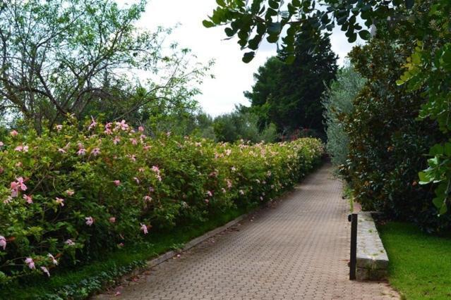 尤润罗绿色套房住宿加早餐旅馆 贝尔韦代雷 外观 照片
